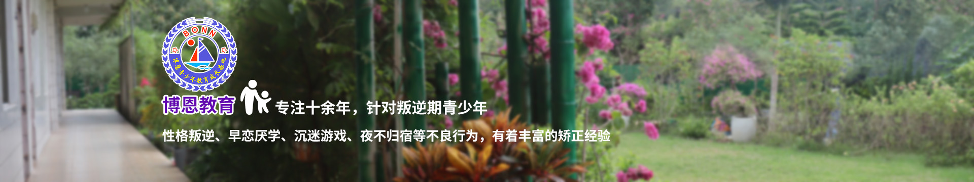 搜索结果